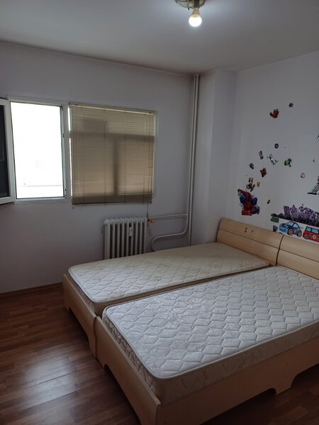 Iancului- Sos Mihai Bravu- Bulevardul Ferdinand I-Pet Friendly