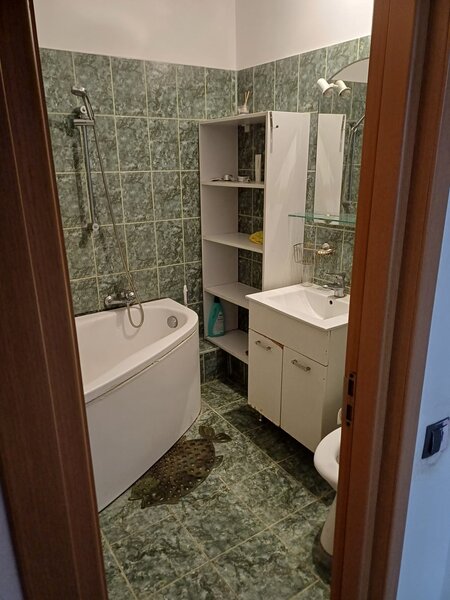 Iancului- Sos Mihai Bravu- Bulevardul Ferdinand I-Pet Friendly